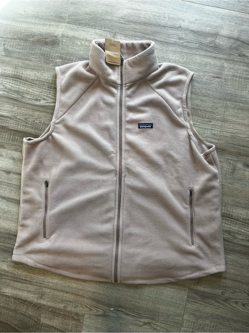 Patagonia Women's Classic Microdini Vest